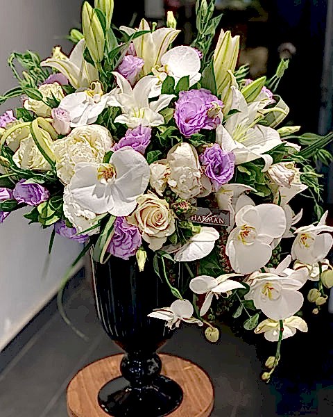 Gösterişli Tasarımlar