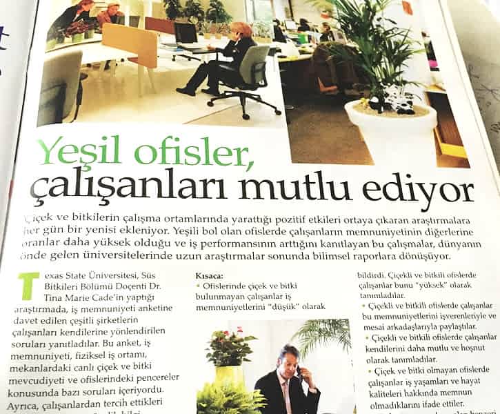 Ofisinizi Çiçeklendirelim