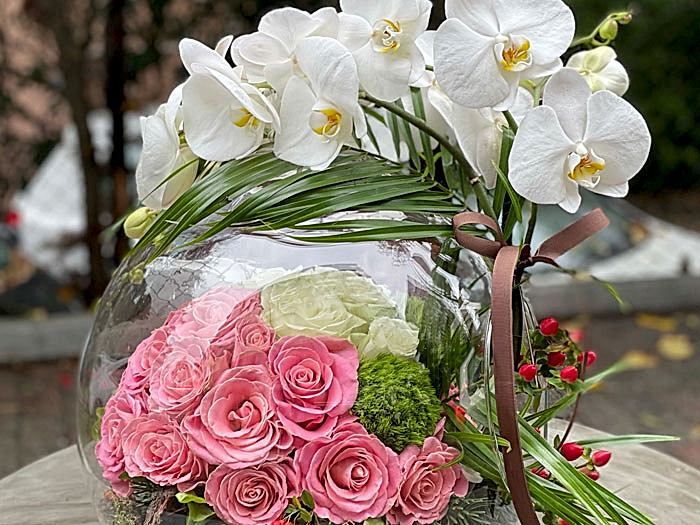 Estettik Tasarımlar